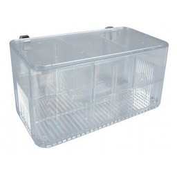 ZOLUX Kotnik na 5 sposobów (377135)