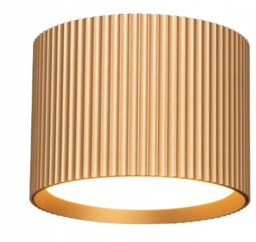 Oprawa Natynkowa Spot GX53 GISELE IP20 Złota Okrągła