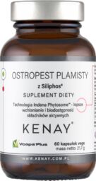 Kenay Ostropest Plamisty z Siliphos, 60 kapsułek vege