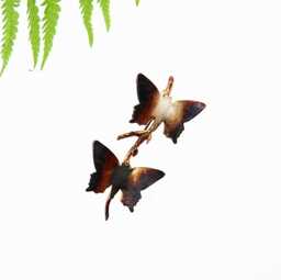 Broszka srebrna - Butterfly brown