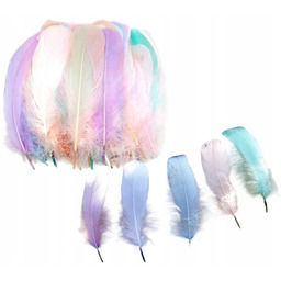 Pióra Dekoracyjne Naturalne Diy Kolorowe Gęsie Barwione 400SZT