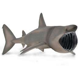 Rekin pielgrzymski - XL - 88914 - Collecta