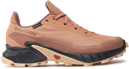 Buty do biegania Salomon Alphacross 5 Gore-Tex L47595100