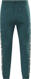 Reebok Spodnie dresowe RI Tape