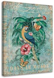 Obraz na płótnie, Papuga i motyle - pocztówka