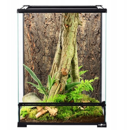 Repti Planet Terrarium szklane 30 x 30 x