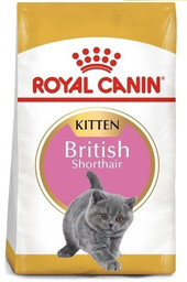 Royal Canin British Shorthair Kitten 10 kg -