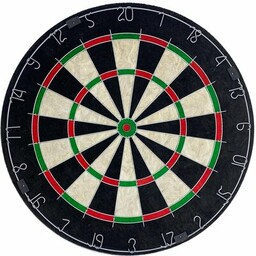 ENERO Pro Tarcza do darta Official Championship