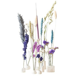 BloomPost Bloom & Clay Blue - Suszone kwiaty