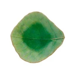 Costa Nova Ramekin liść Riviera Tomate 11 cm