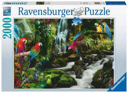 Ravensburger, puzzle, Papugi w dżungli, 2000 el.