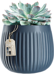 Osłonka ceramiczna Vario 14 cm, granatowa