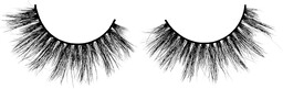 Lash Me Up Dolly, Welcome To St. Tropez,
