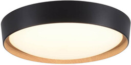 Paul Neuhaus Rustykalna lampa sufitowa czarna z wbudowanym