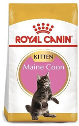 Royal Canin Maine Coon Kitten 10 kg -