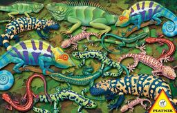 Puzzle Salamandry Piatnik