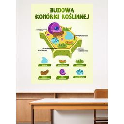 Budowa komórki roślinnej- naklejka na ścianę