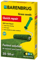 Nasiona traw Quick Repair 1 kg - BARENBRUG