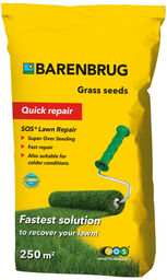 Nasiona traw Quick Repair 5 kg - BARENBRUG