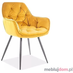 Krzesło CHERRY VELVET Signal Curry