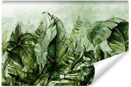 Muralo Fototapeta Do Salonu Zielone Liście Egzotyczne 300x210cm