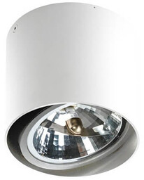 Azzardo Ruchoma lampa sufitowa Alix AZ1356 downlight