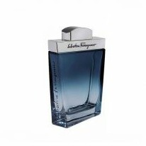 Salvatore Ferragamo Subtil Pour Homme, woda toaletowa, 100ml