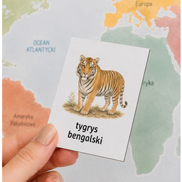 Zwierzęta świata 40 magnesów do Magnetycznej Mapy Odkrywców