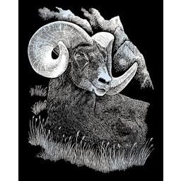 Royal & Langnickel Taran z Obrazkami do Zdrapywania,