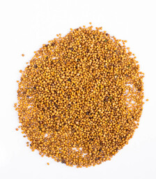 Gorczyca sarepska ziarno 5kg