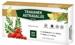GINSENG Traganek Astragalus ekstrakt, 10x10 ml