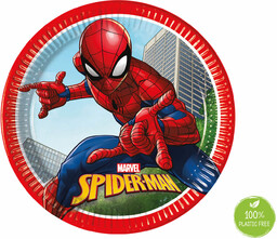 Talerzyki urodzinowe Spiderman - 23 cm - 8