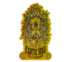 Jelly Bananen - feminizowane nasiona marihuany, 3 sztuki