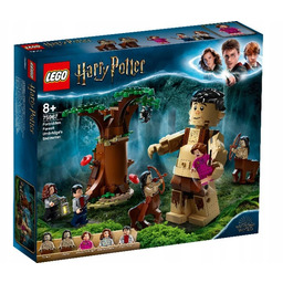 Lego Harry Potter 75967 Zakazany Las Spotkanie Umb