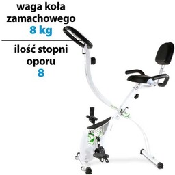 BH FITNESS Rower magnetyczny Back Fit YF91