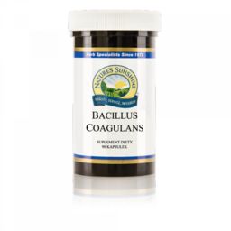 Probiotyk Bacillus Coagulans, Nature''s Sunshine, 90 kapsułek