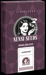 California Indica - feminizowane nasiona marihuany, 3 sztuki
