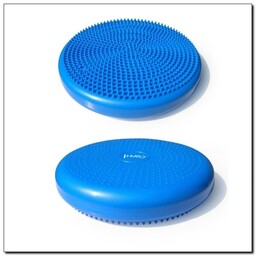 Dysk, poduszka sensomotoryczna - rehabilitacyjna