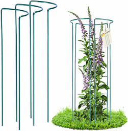 Podpora do roślin Asta 75 cm 3 szt.