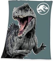 Herding koc polarowy Jurassic World, 130 x 170