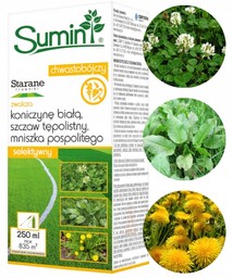 Starane Trawniki Zwalcza Chwasty Na Trawniku Koniczyna Babka
