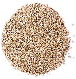 Komosa ryżowa (quinoa) biała 10kg