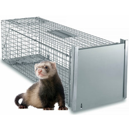 Duża Żywołapka Pułapka Na Kuny Szczury Łasice Norki