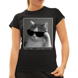 Why are u looking at me? - kot