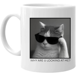 Why are u looking at me? - kot