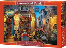 Castorland C300426 Hobby Panoramiczne Nasze specjalne miejsce