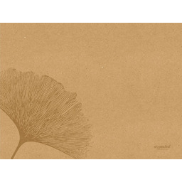 Duni Podkładka pod talerz 30 x 40 cm