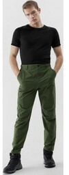 Męskie spodnie trekkingowe 4F 4FWSS24TFTRM483 - zielone