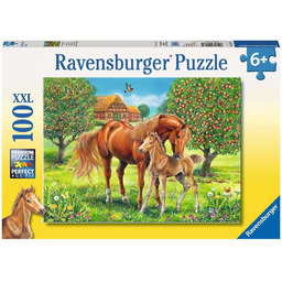 Pferdeglück auf Wiese Puzzle 100 Teile