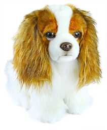 Rappa Pluszowy pies spaniel King Charles, 25 cm